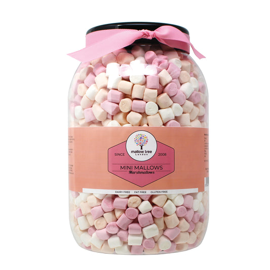 Vanilla Flavoured Mini Marshmallows Ribbon Large Gift Jar, 600 g